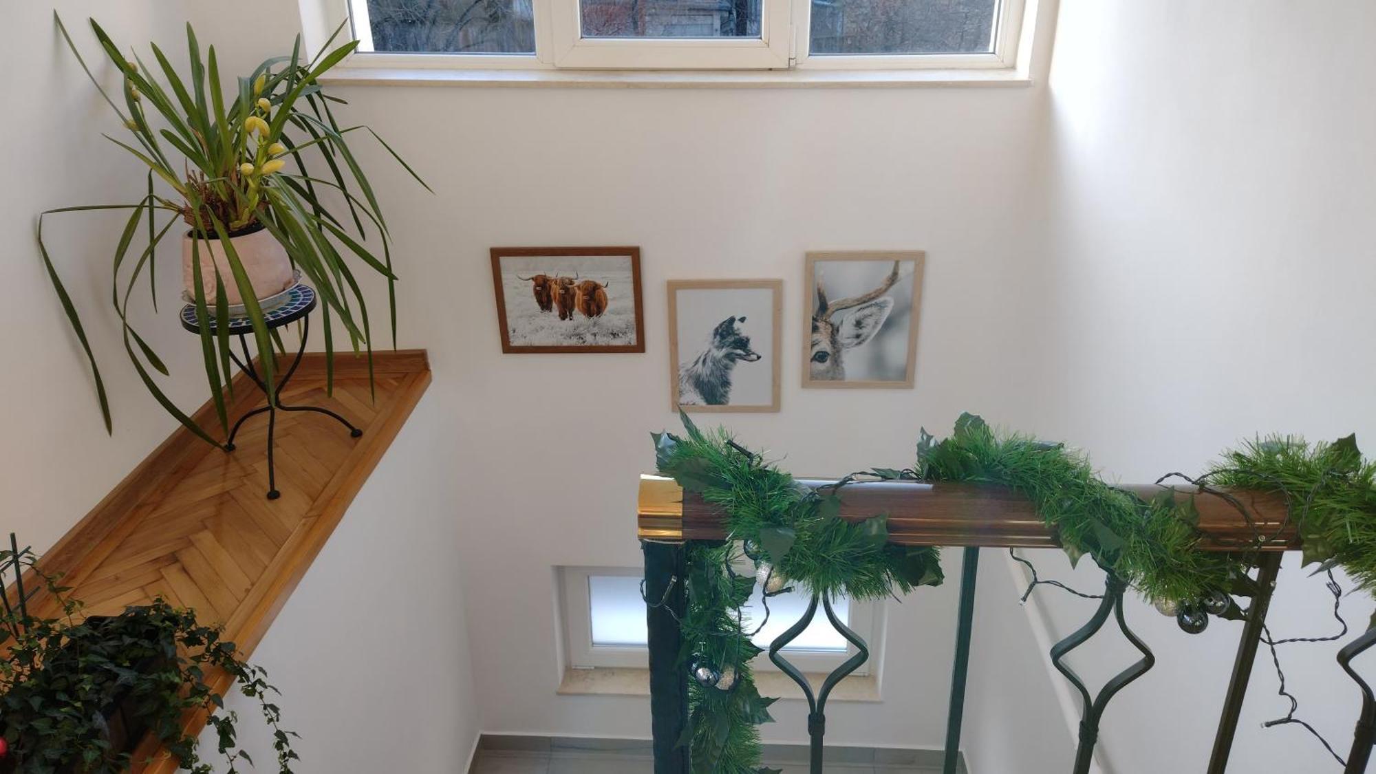 Friends House - Station - Self Check-in Guest house *